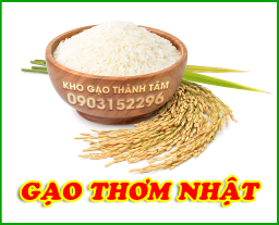 Gạo ST25 Ông Cua